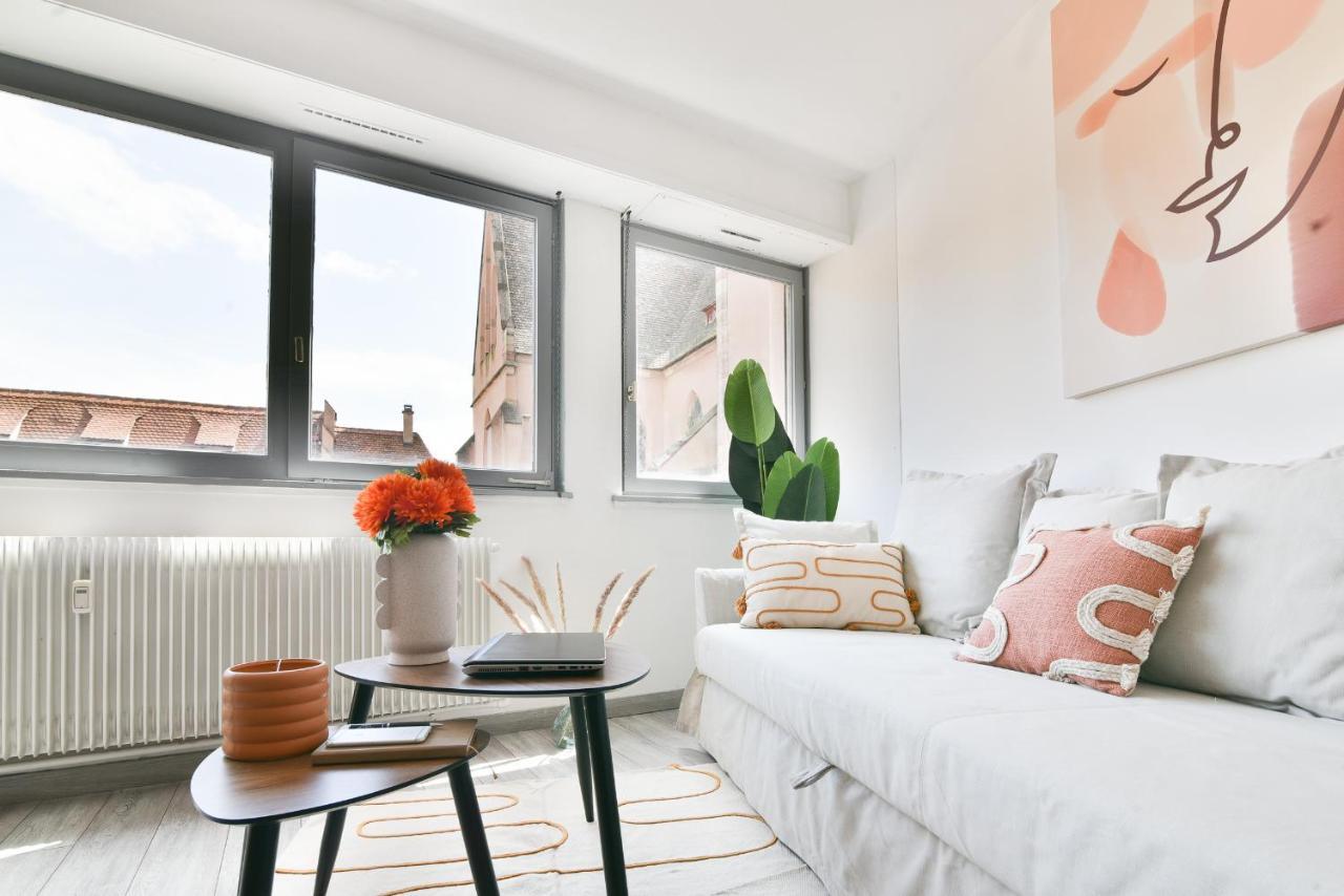 Hyper-Centre - Le Saint-Pierre - Cathedrale Apartment Strasbourg Luaran gambar